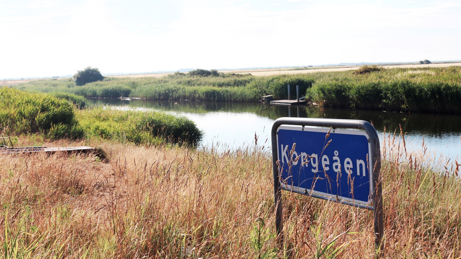 Organisation kongeaaen