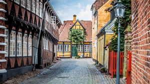 Ribe by